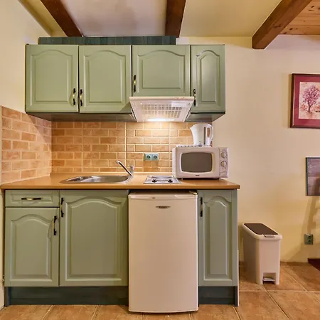 Apartmán Roky - Dolni Namesti-6 By Interhome