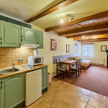 Apartmán Roky - Dolni Namesti-6 By Interhome