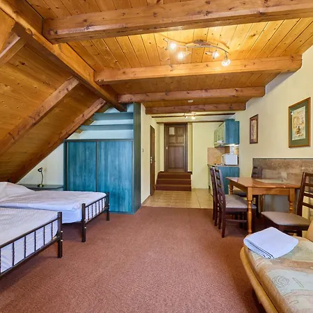 Apartman Roky - Dolni Namesti-6 By Interhome